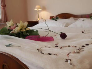Pension Habermannova Vila