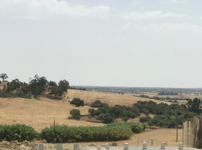 The Little Owls Nest Castro Verde