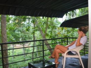 Tulip of Ceylon Nature Resort