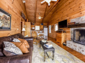 Pauley Robin Cabin