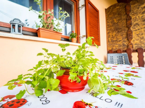 Stunning Home in Krnica With Wifi and 2 Bedrooms