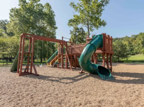 Tin Cup - 1 Br Cabin