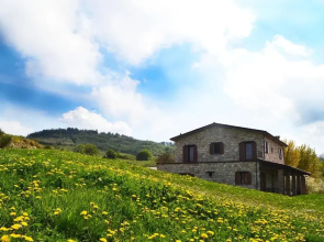 Fattoria Bio L'A Ceccoli
