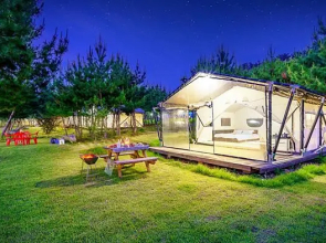 seocheon paintree glamping