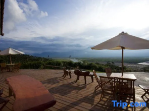 Yi-He Golden Homestay