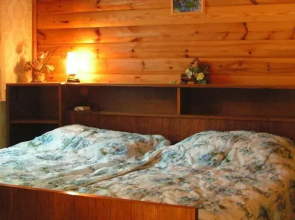 Urlaub am Toplitschhof