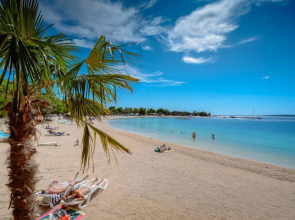 Urban City Apartment