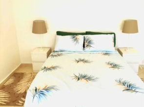 Spacious Downtown Flat