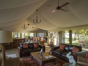 The Elephant Camp