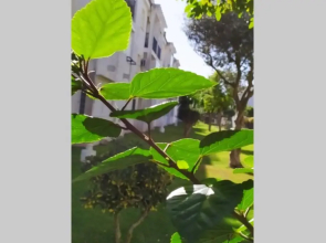Acogedor Apartamento A 100 M. De Pinares Y Playa