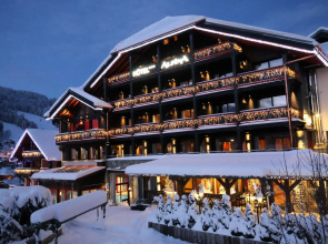 Hôtel Alpina