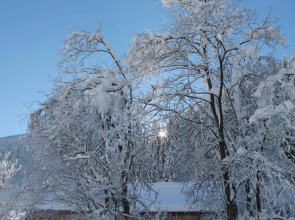 Ferienwohnungen Steidl