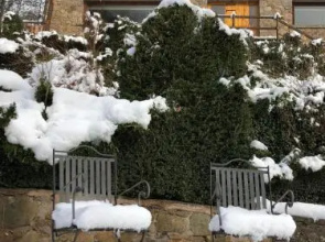 Els Apartaments del bosc