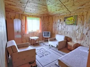 Borowinka