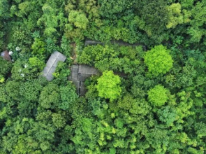 Shangdao Homestay