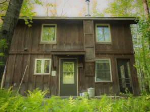 Shire In The Woods