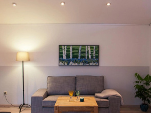 Ferienhaus Brauner Hirsch
