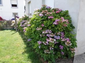 Property With 2 Bedrooms in Erdeven, With Enclosed Garden - 3 km From