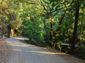 Ojaswi Himalayan Resort Mukteshwar