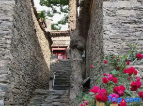 Liulaogen Leisure Qiangjia