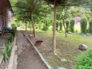 Jungle Tribe Guesthouse