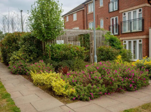 Coventry City Apartments