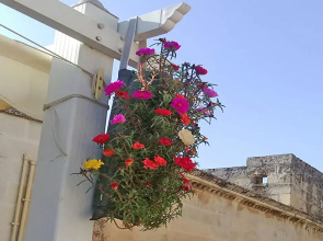 B&B Corte dell' Idume