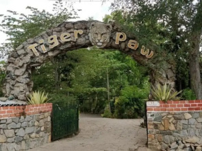 The Tiger Paw Resort