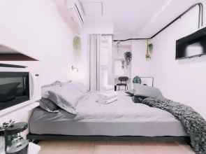 Minimalist Loft 205