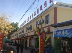 Dunhuang Old Friend Guest House