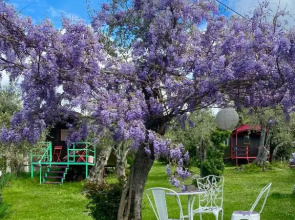 Azienda agricola Della Mezzaluna