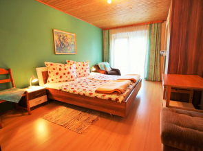Spacious Apartment near Ski Area in Liebetig