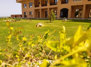 A5 8 At Turtles Beach Hurghada ok holiday homes