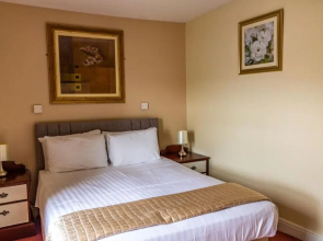The Buck Hotel