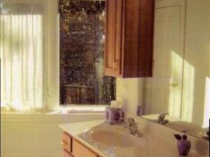 Tree Top Bed & Breakfast
