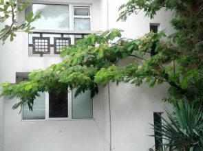 Guest House Lichevi