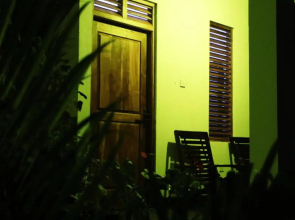 City- in Safari Resort