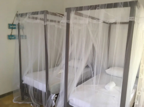 Villa Coconut - Hostel