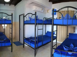 Asia Blue - Beach Hostel Hacienda - Bed in 6-bed Mixed Dormitory Room