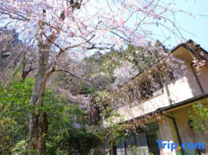 Yoshinoonsen Motoyu