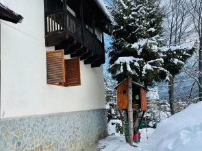 Casa Renilor