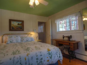 New! Edelweiss Mountain Haus -- E.V. Reg # 3386 Cottage