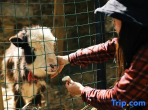 YouthTour KaManwu Star Garden Homestay
