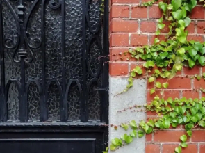 La Belle Vigne - Namur