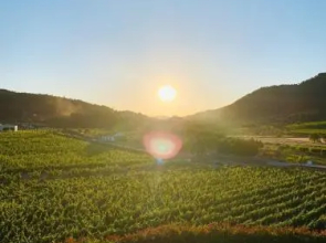 Quinta do Palame