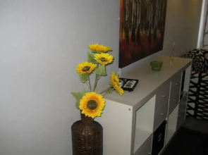 Apartment Funchal Center
