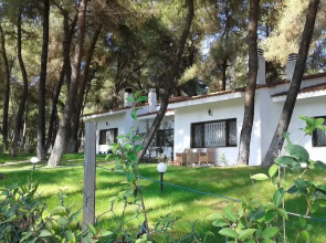 Family Villa in Sani - Sleeps 6 - Parking - Wifi