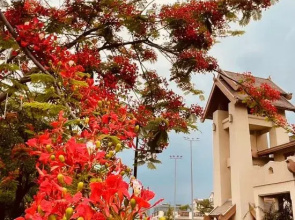 Senhuoyeshe B&B