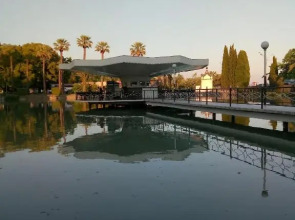 Гостиница Лебедь