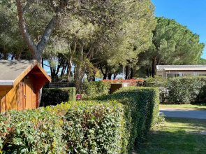 NEW Jungle Lake - Clim - WIFI - Draps & serviettes - BBQ - 10' des plages